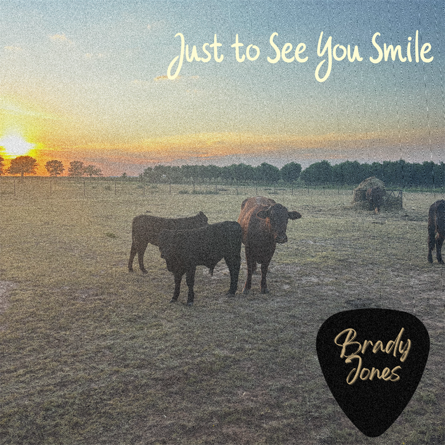 Just to See You Smile Single